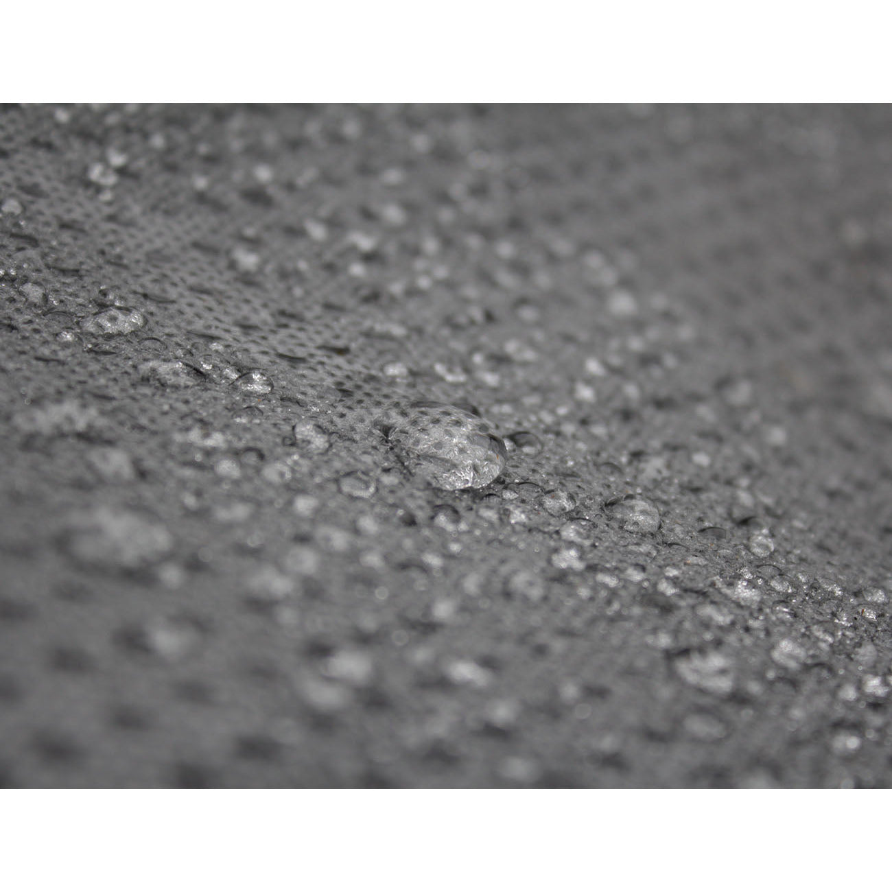 Car Cover