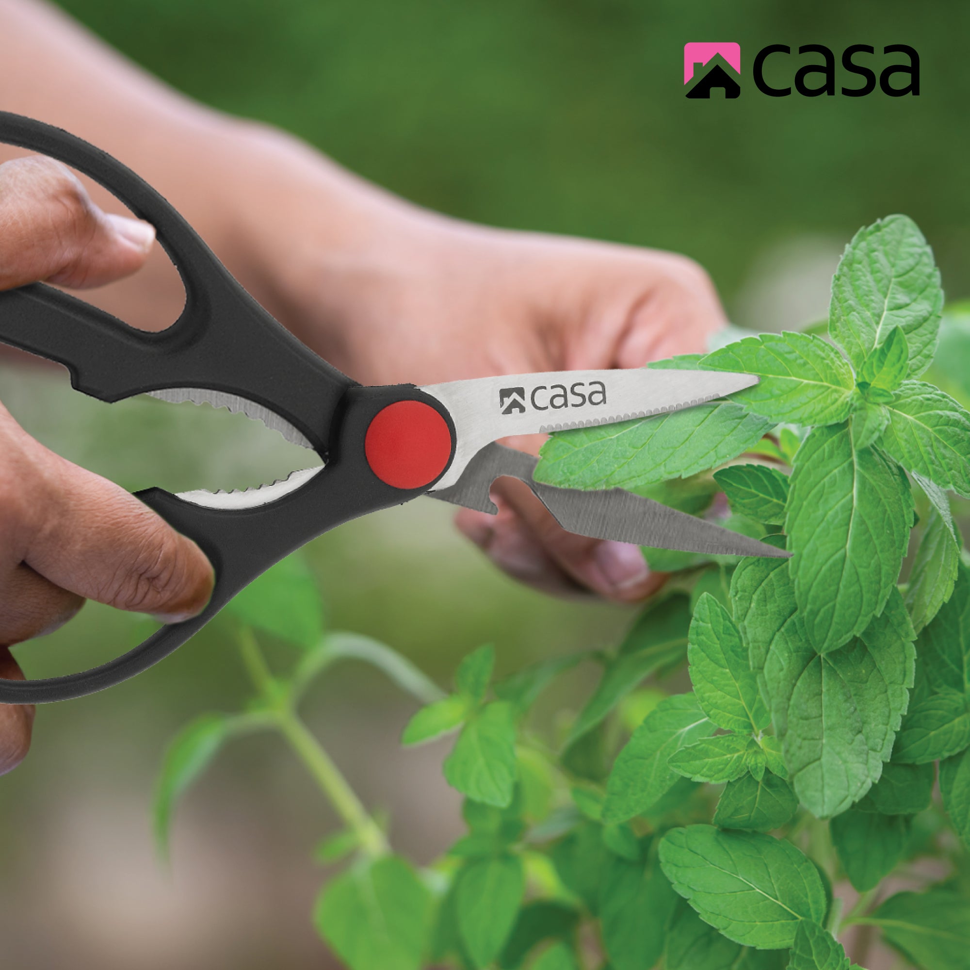 2Pc Food Shears Scissors Set - Bari