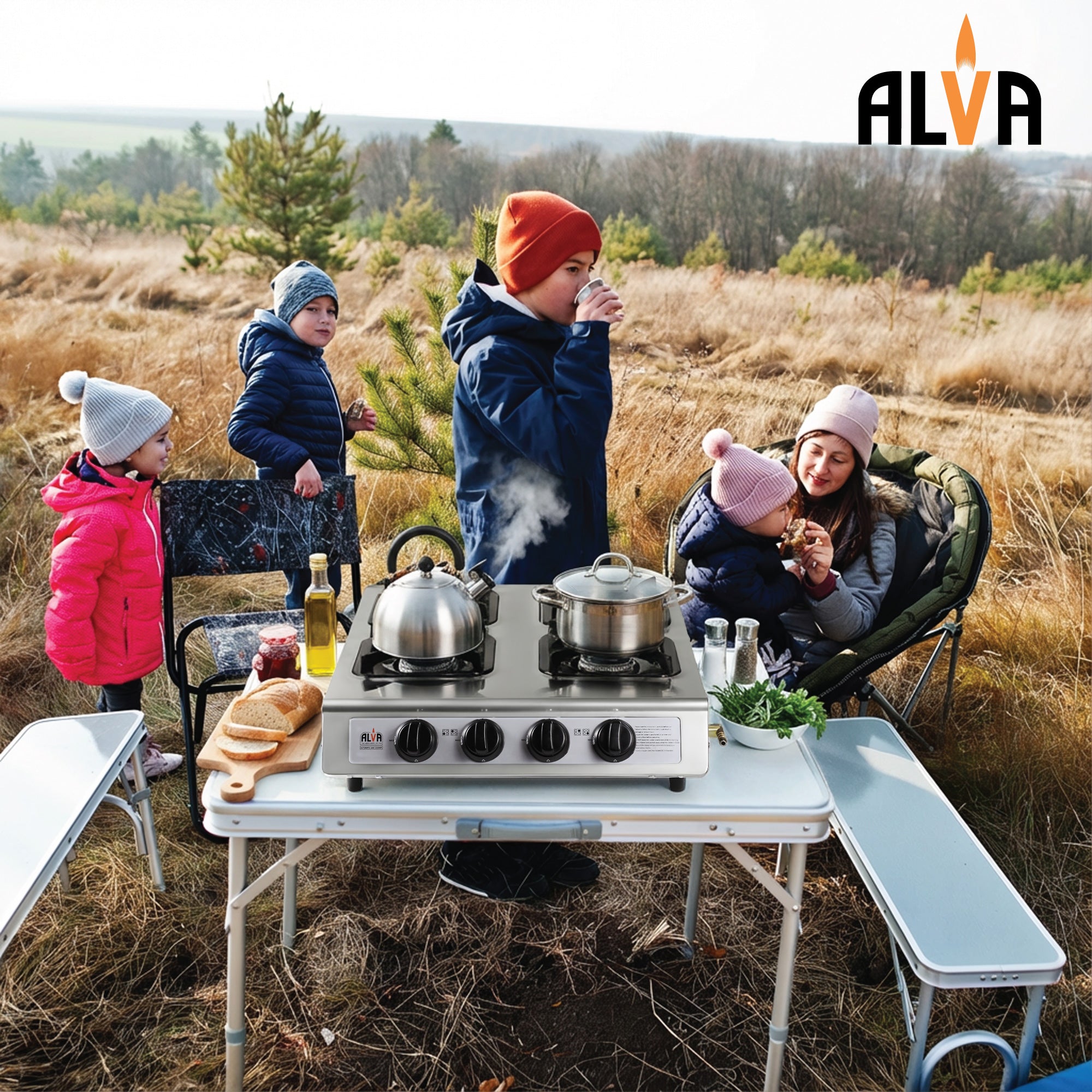 4-Burner Stainless Steel Gas Stove