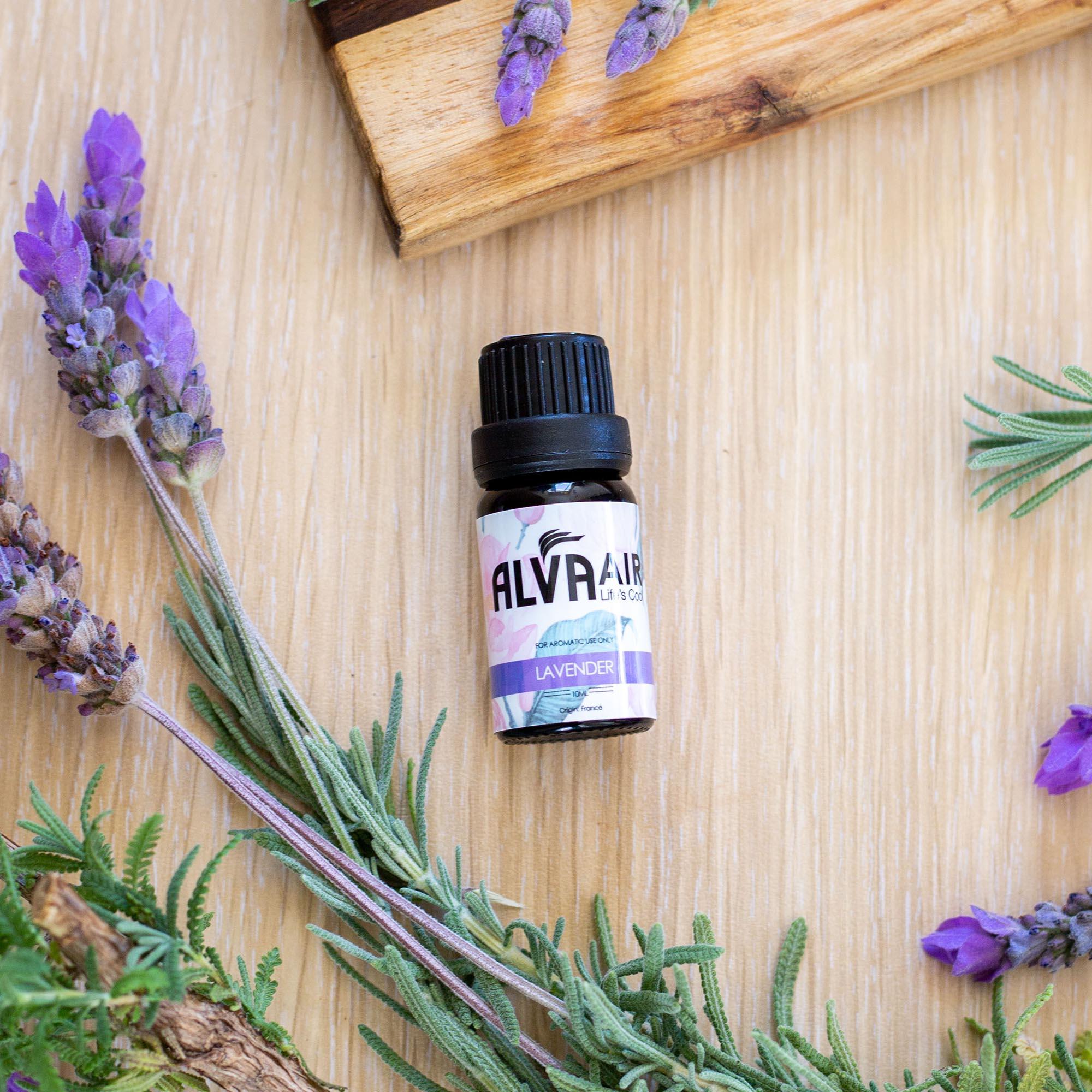 9PC ESSENTIAL OILS SET - FOR AROMATHERAPY DIFFUSER - Alva Lifestyle Retail